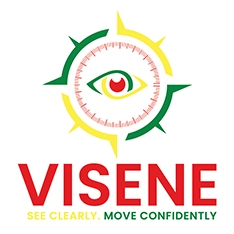 Visene Logo